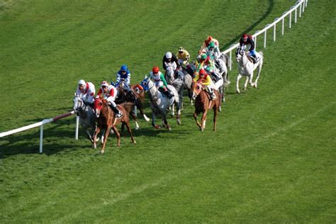 cheltenham thursday results|Cheltenham Festival 2024 results .